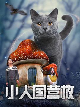 天堂综合在线播放